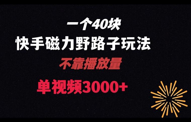 一个40块，快手联合美团磁力新玩法，无视机制野路子玩法，单视频收益4位数【揭秘】_就是爱分享