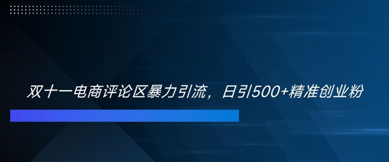 双十一电商评论区暴力引流，日引500+精准创业粉【揭秘】_就是爱分享