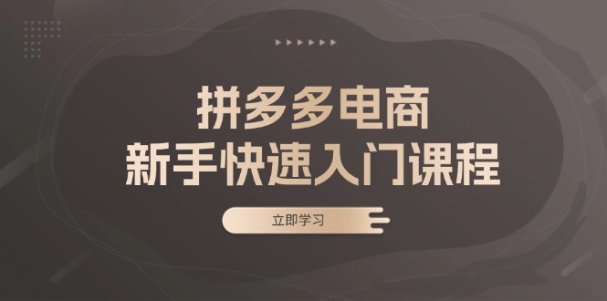 拼多多电商新手快速入门课程：涵盖基础、实战与选款，助力小白轻松上手_就是爱分享