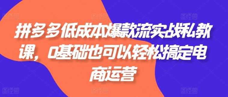 拼多多低成本爆款流实战私教课，0基础也可以轻松搞定电商运营_就是爱分享