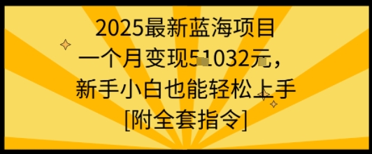 2025最新蓝海项目一个月变现1w+新手小白也能轻松上手【附全套指令】_就是爱分享