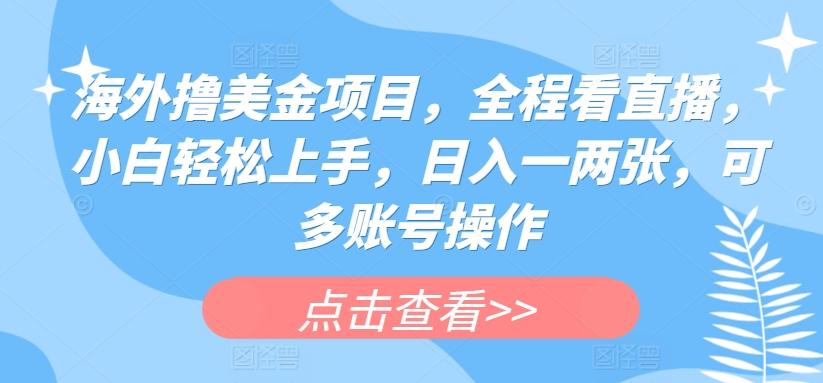 海外撸美金项目，全程看直播，小白轻松上手，日入一两张，可多账号操作【揭秘】_就是爱分享