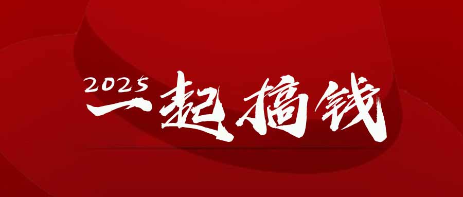 2025年，请“不择手段”去搞钱!_就是爱分享