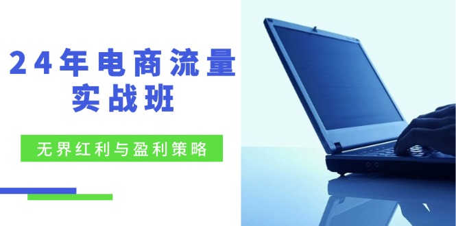 24年电商流量实战班：无界 红利与盈利策略，终极提升/关键词优化/精准…_就是爱分享