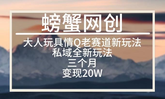 大人玩具情Q用品赛道私域全新玩法，三个月变现20W，老项目新思路【揭秘】_就是爱分享